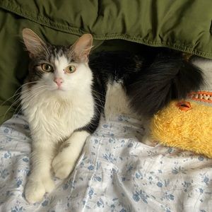 Meet your Posher, Libby